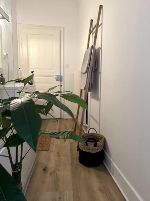 Appartement Cosy Et Lumineux Avec Parking Gratuit コルマール エクステリア 写真