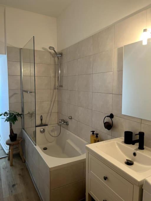 Appartement Cosy Et Lumineux Avec Parking Gratuit コルマール エクステリア 写真