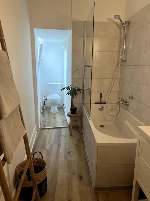 Appartement Cosy Et Lumineux Avec Parking Gratuit コルマール エクステリア 写真