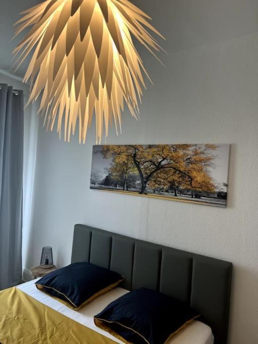 Appartement Cosy Et Lumineux Avec Parking Gratuit コルマール エクステリア 写真