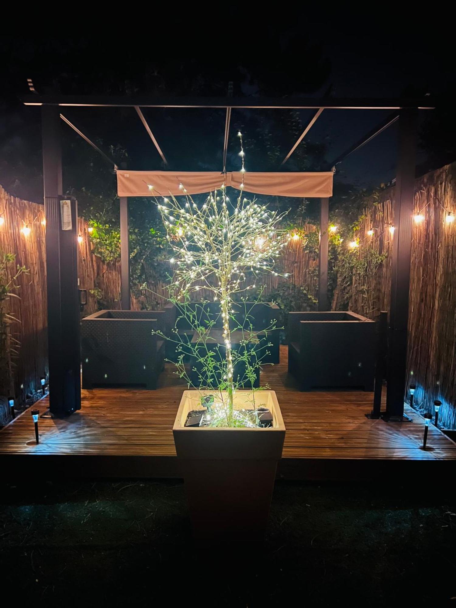 Appartement Cosy Et Lumineux Avec Parking Gratuit コルマール エクステリア 写真